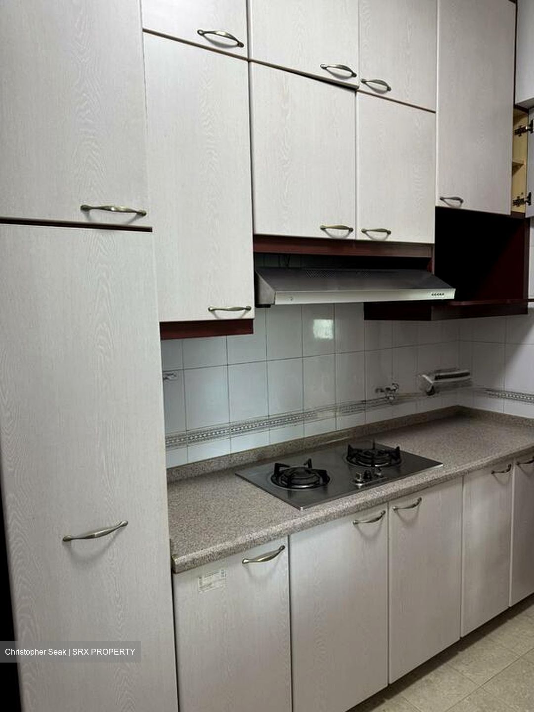 Parc Oasis (D22), Condominium #527171901